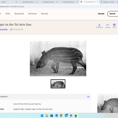 Screenshot 2026-02-23 090355.png